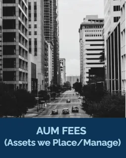 AUM Fees — charged on the assets we place and manage